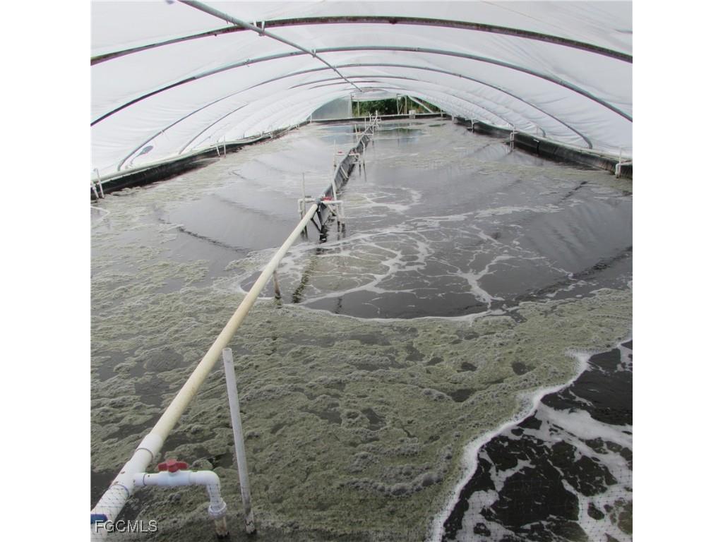 9703 Stringfellow Road Saint James City FL 33956 2025008101 image19