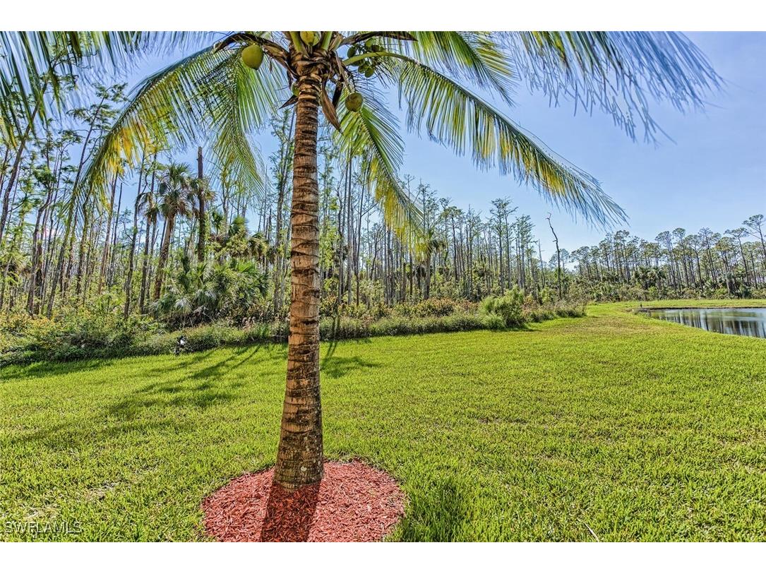 9719 Acqua Court #228 Naples FL 34113 225067573 image22