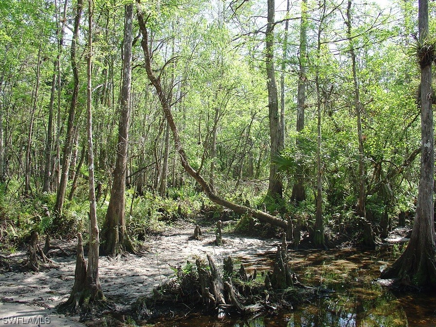 975 N Silver Lake Road Labelle FL 33935 223043865 image1