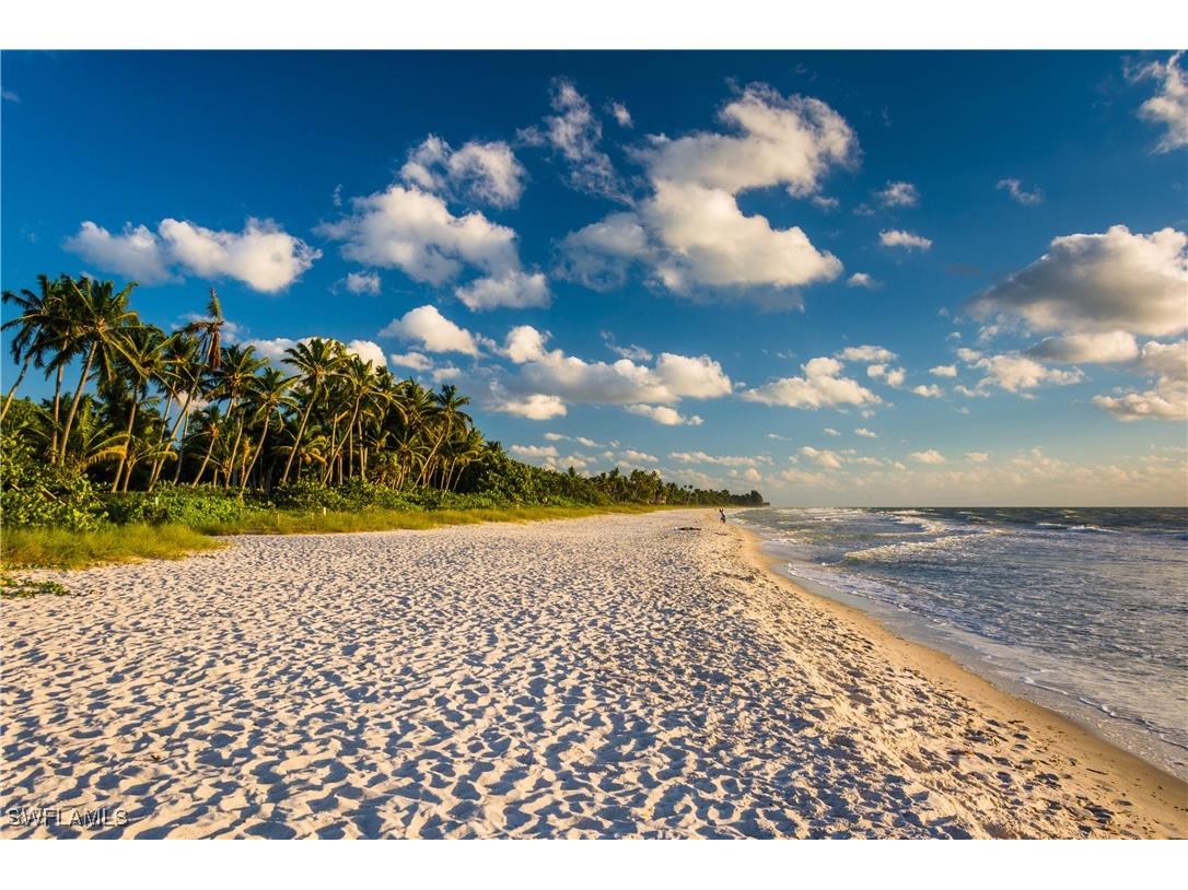 975 Tivoli Court Naples FL 34104 225046233 image46