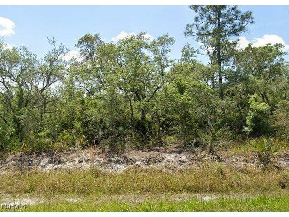 978 Archie Summers Road Lake Placid FL 33852 2025021504 image1