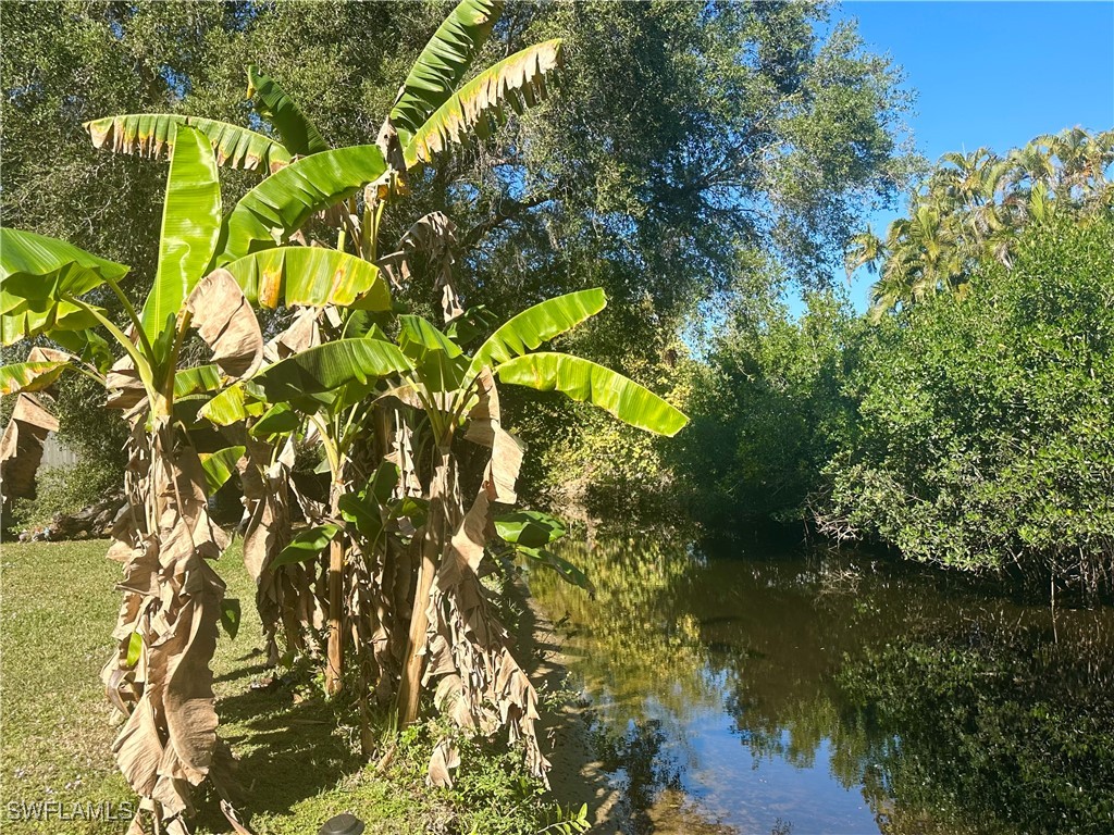 9805/9807 Montana Court Bonita Springs FL 34135 226001224 image2