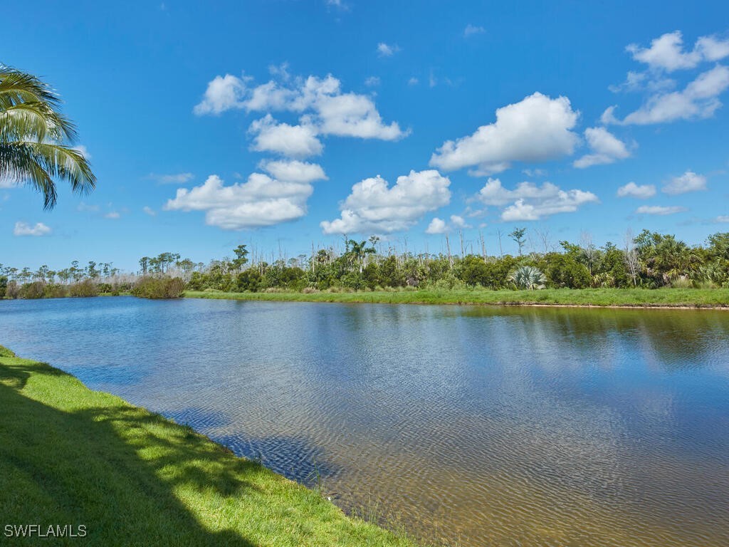 9816 Giaveno Circle #1315 Naples FL 34113 225069084 image14