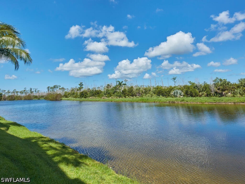 9816 Giaveno Circle #1315 Naples FL 34113 226015882 image14
