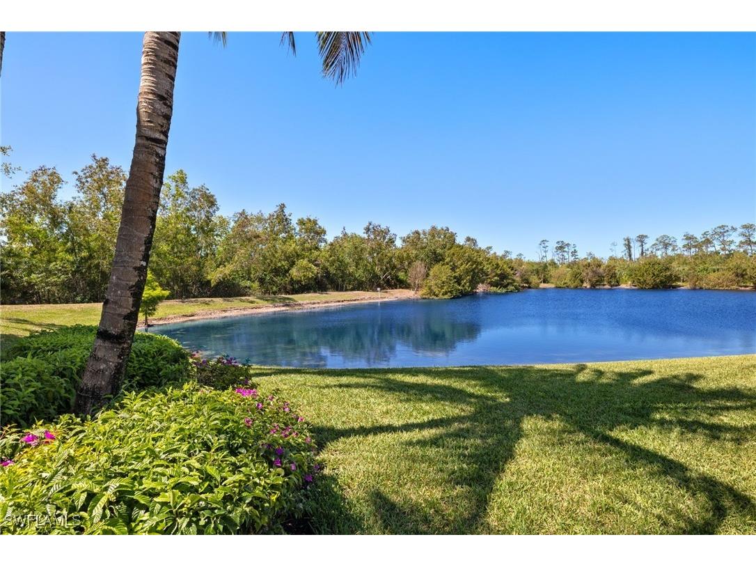 9826 Giaveno Circle #1537 Naples FL 34113 225075641 image33