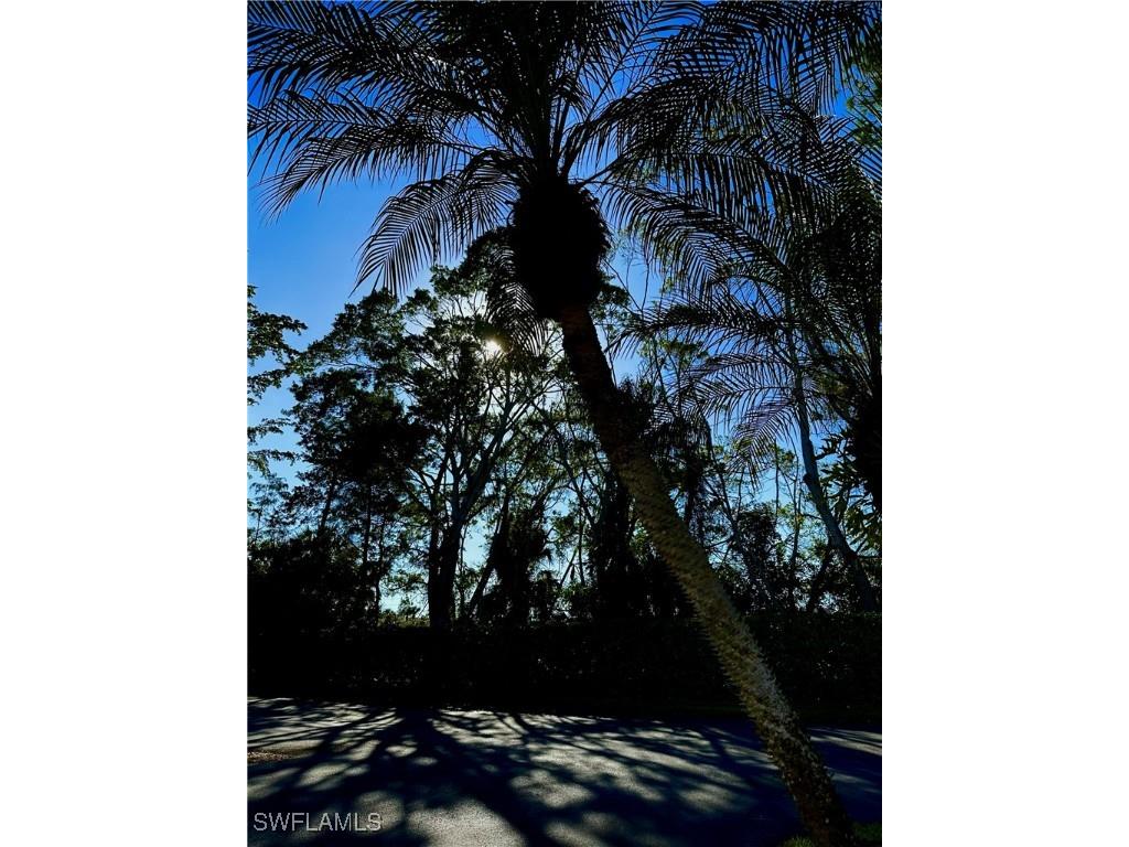 9828 Luna Circle #H203 Naples FL 34109 225079773 image25