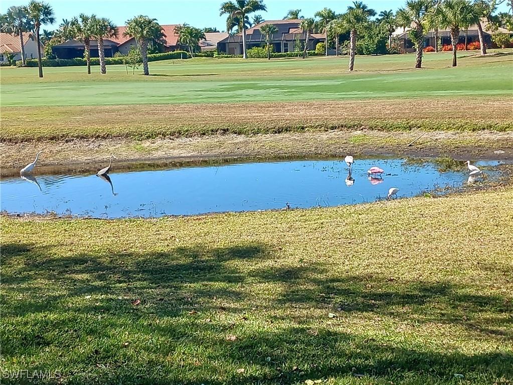 9851 Costa Mesa Lane #305 Bonita Springs FL 34135 225079673 image29