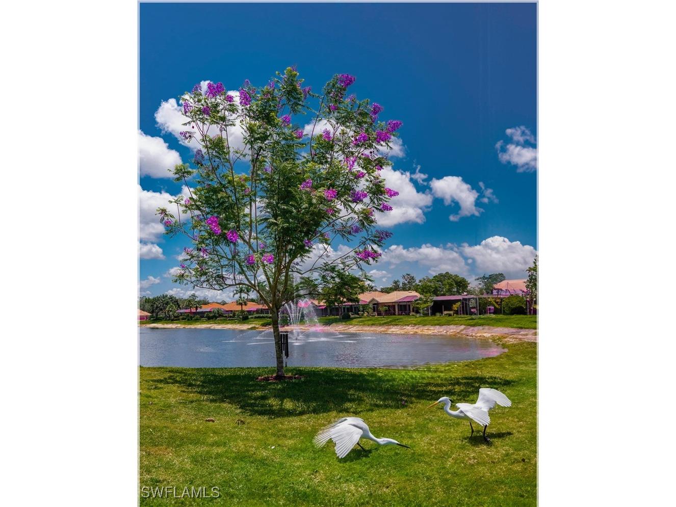 9871 Rookery Circle Estero FL 33928 226005419 image28