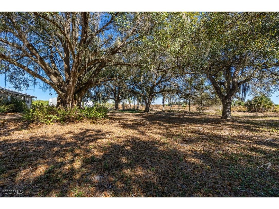 990 Morris Taylor Road Felda FL 33930 2026003364 image33