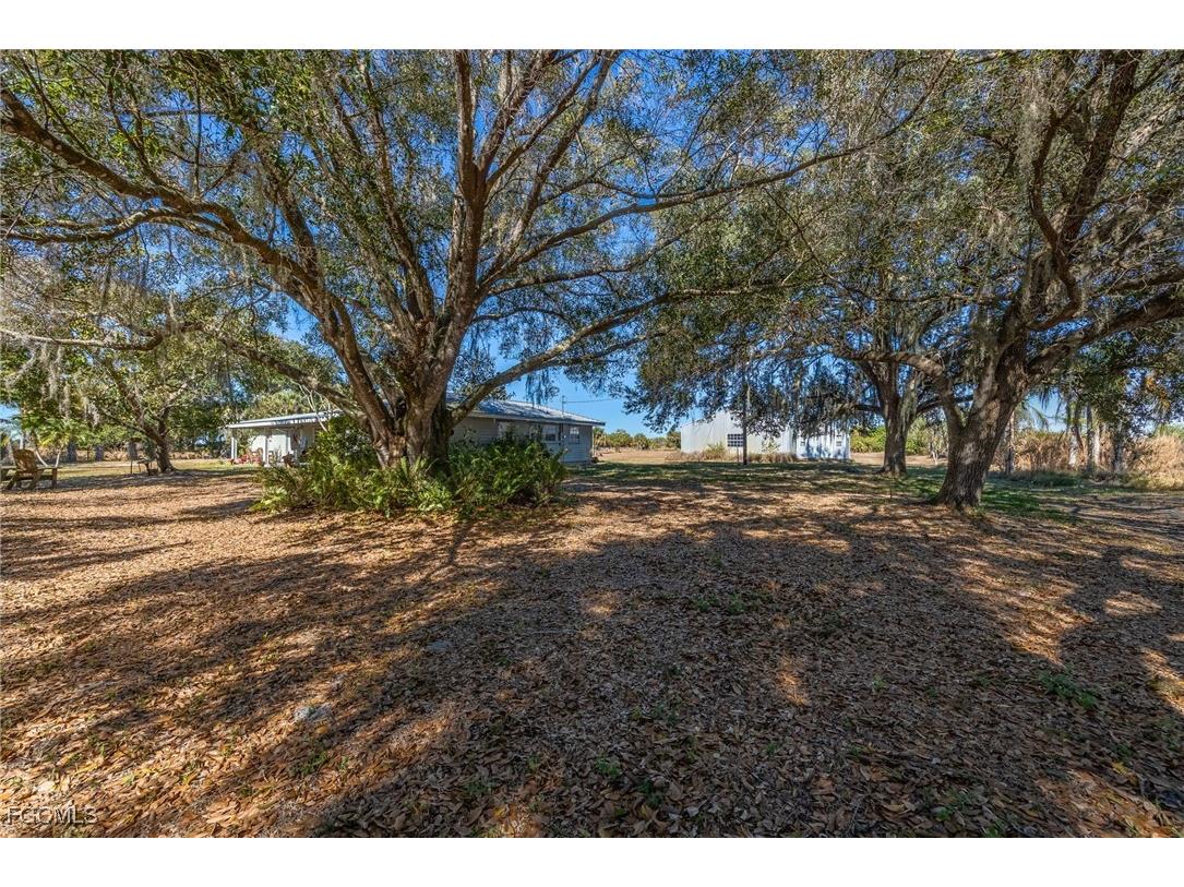 990 Morris Taylor Road Felda FL 33930 2026003364 image34