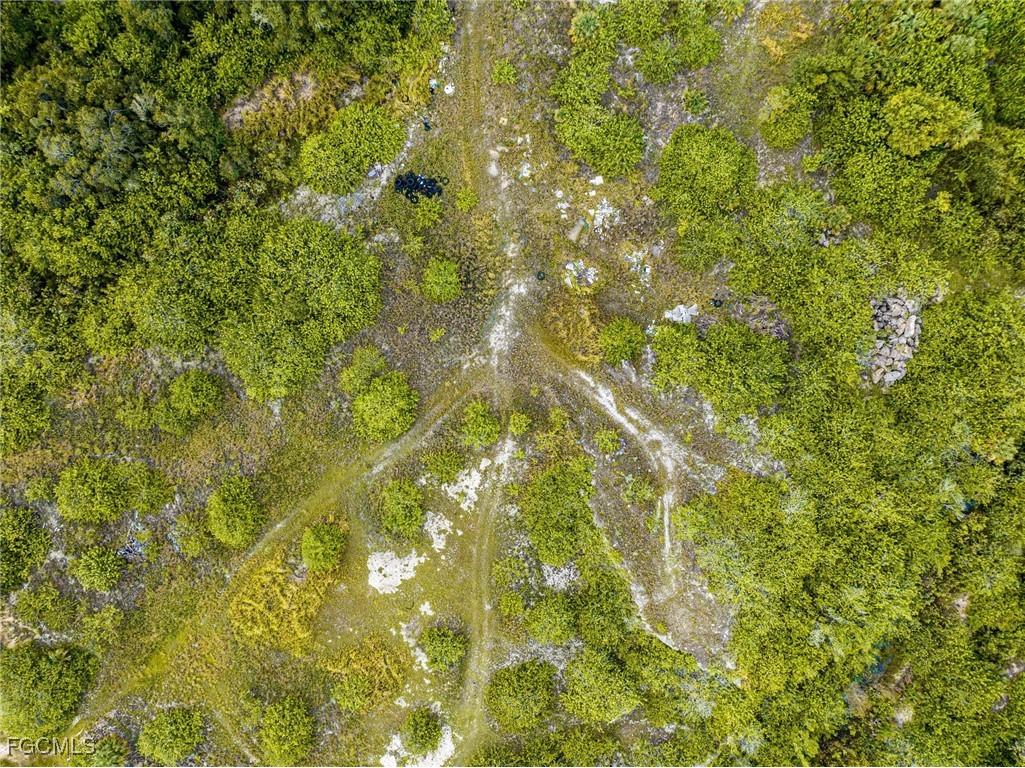 9930 State Road 80 Moore Haven FL 33471 2025002524 image8