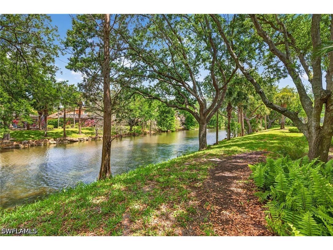 9960 Rookery Circle Estero FL 33928 226010939 image41