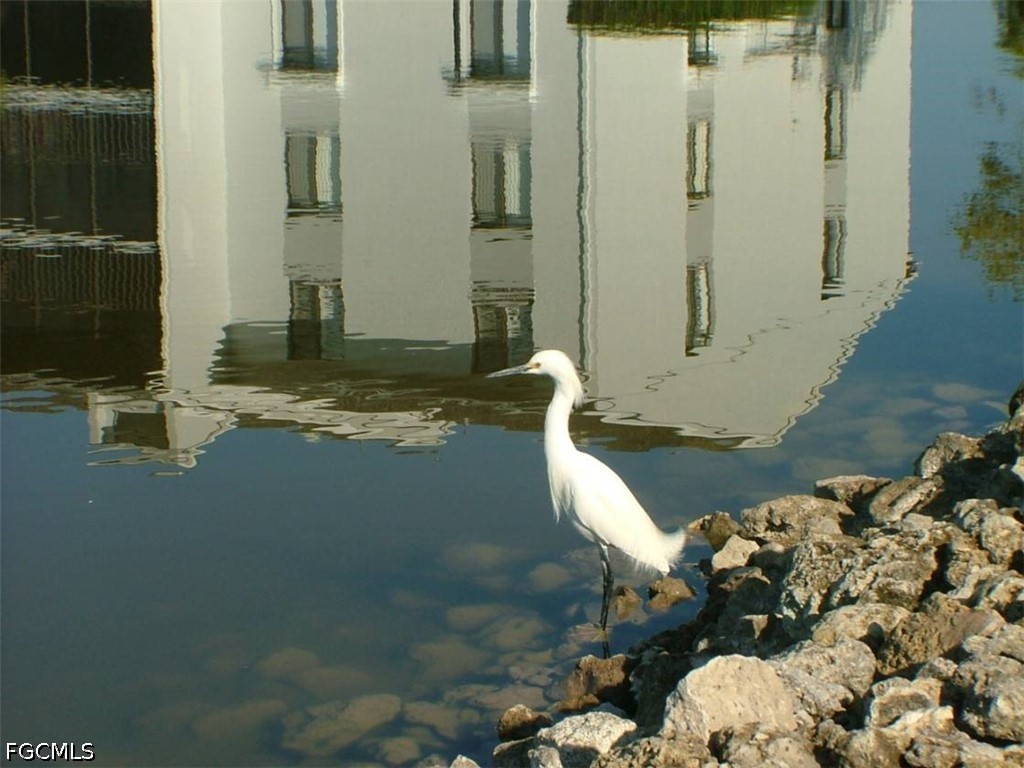 9970 Sailview Court #4-D1 Fort Myers FL 33905 2026021136 image20