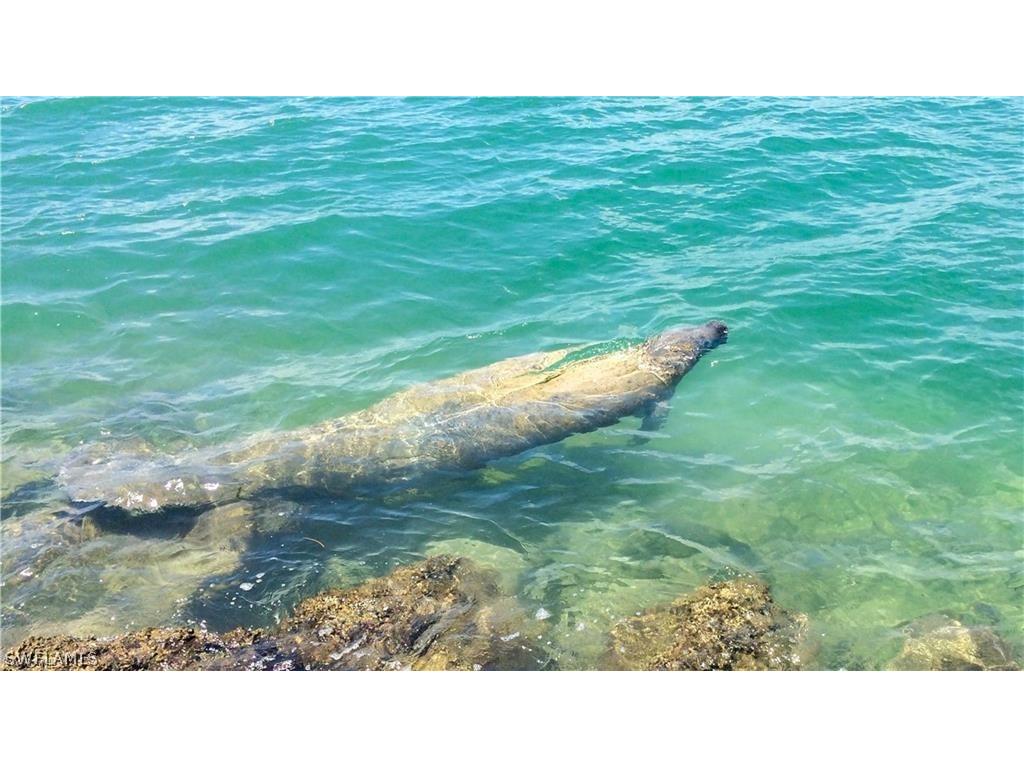 Access Undetermined Bokeelia FL 33922 224030569 image13