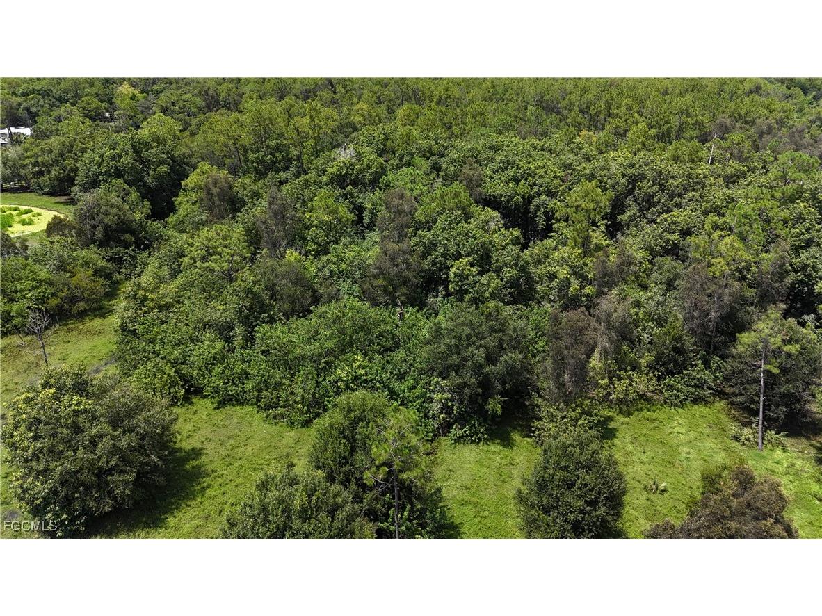 Anhinga Anhinga Road Naples FL 34120 2025007455 image10