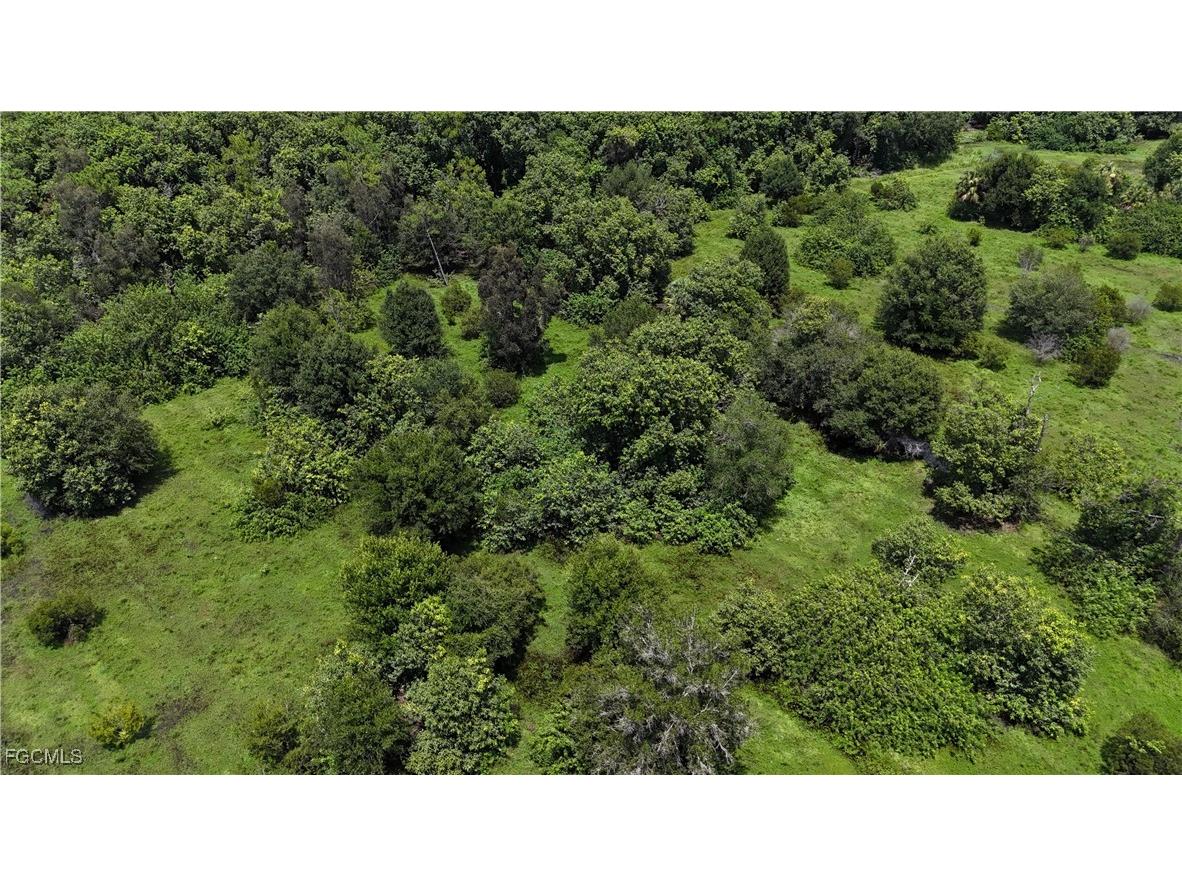 Anhinga Anhinga Road Naples FL 34120 2025007455 image11