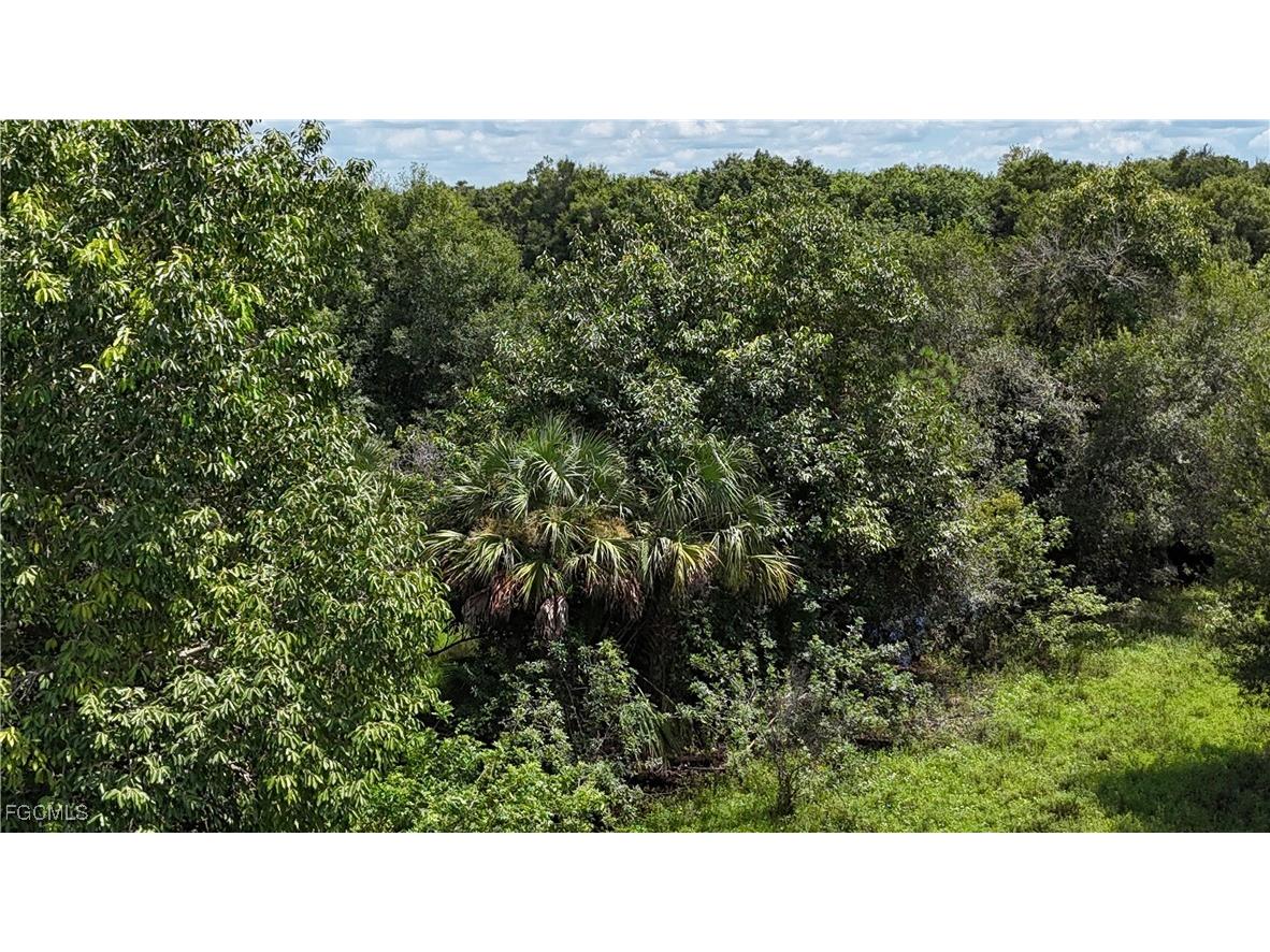 Anhinga Anhinga Road Naples FL 34120 2025007455 image12