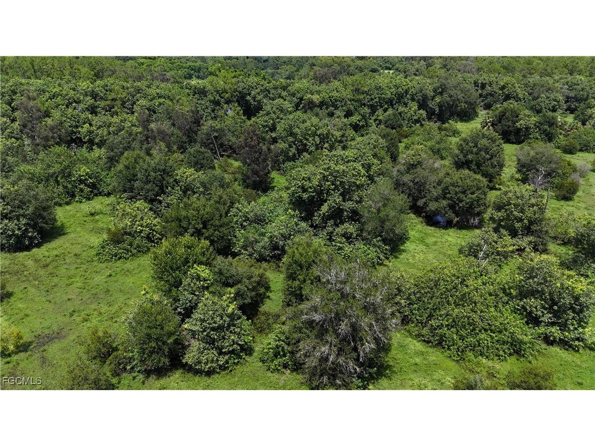 Anhinga Anhinga Road Naples FL 34120 2025007455 image13