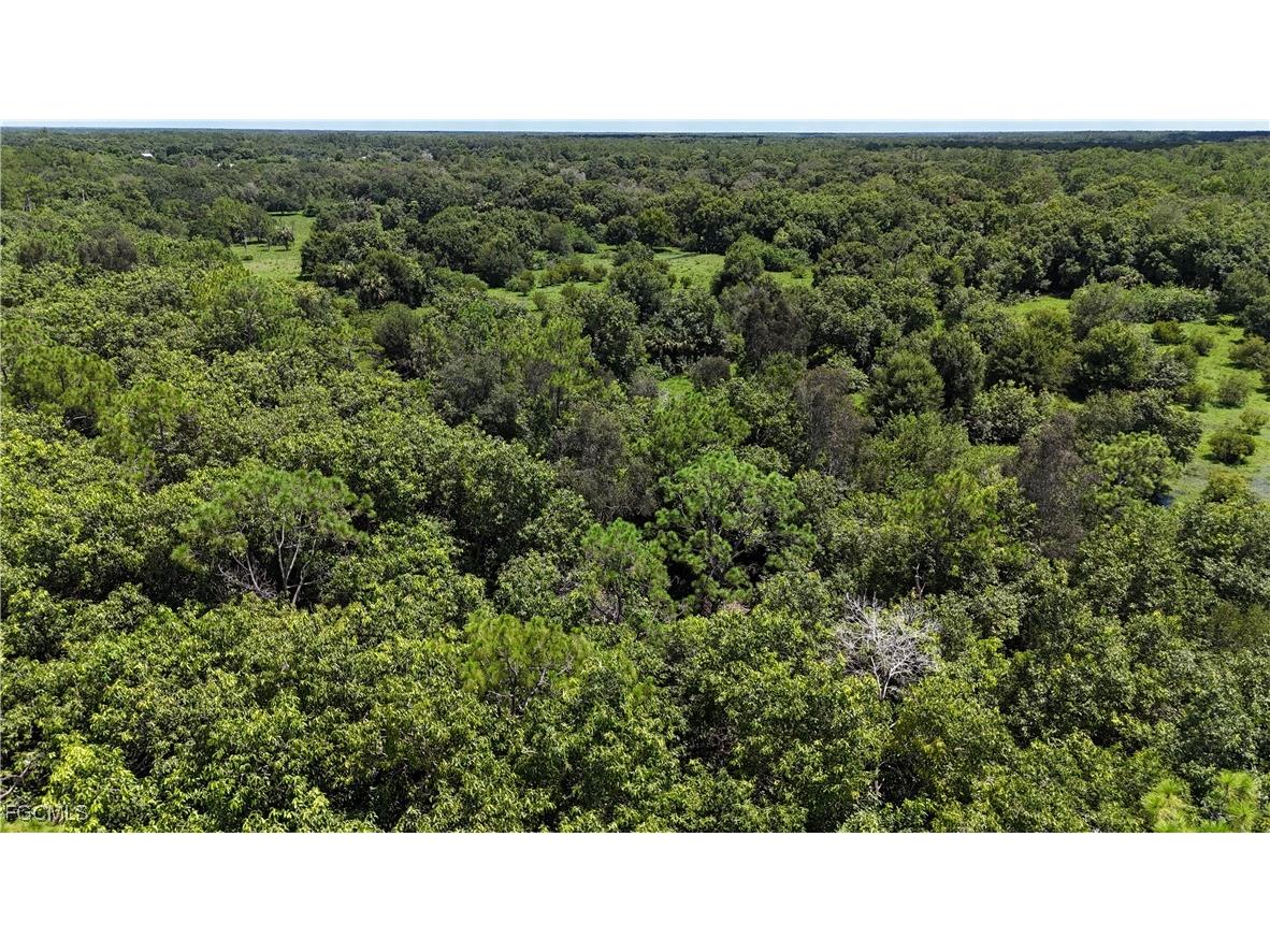 Anhinga Anhinga Road Naples FL 34120 2025007455 image14