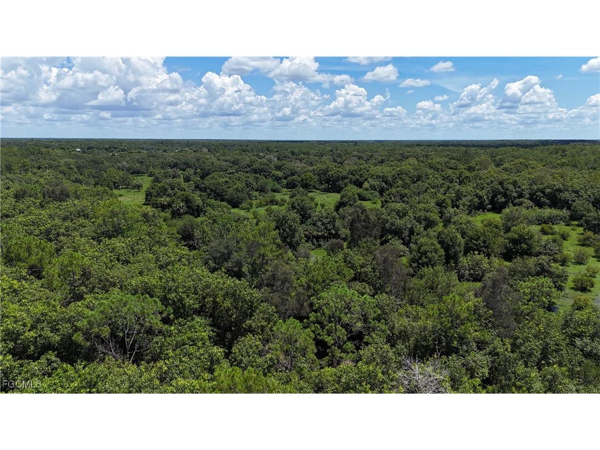 Anhinga Anhinga Road Naples FL 34120 2025007455 image15