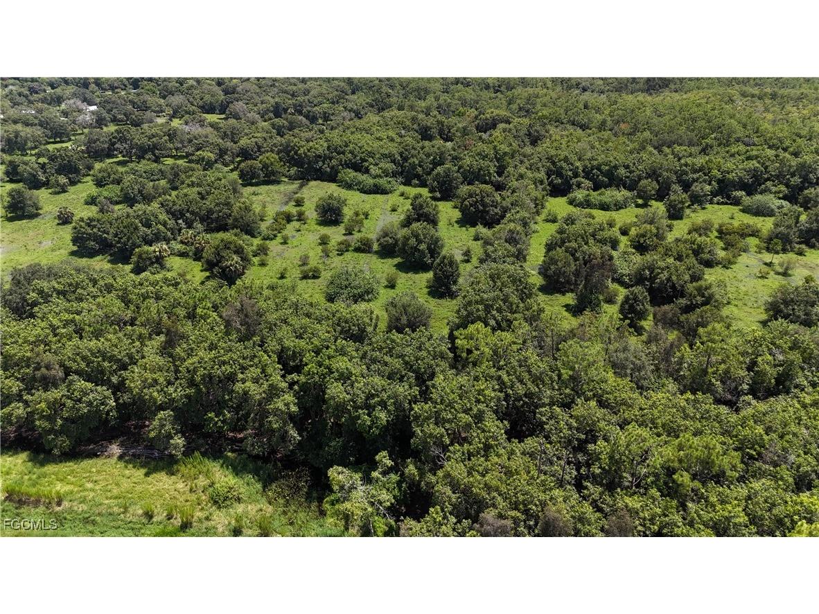 Anhinga Anhinga Road Naples FL 34120 2025007455 image16