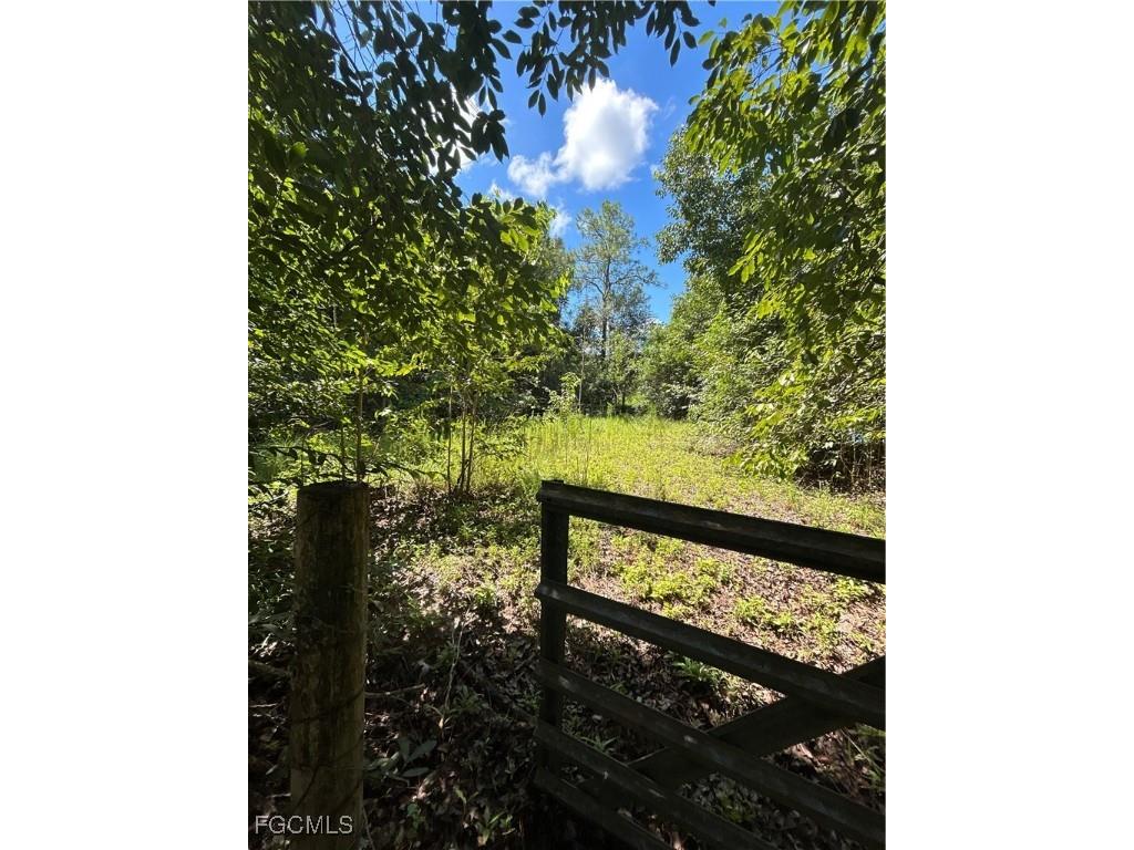 Anhinga Anhinga Road Naples FL 34120 2025007455 image2