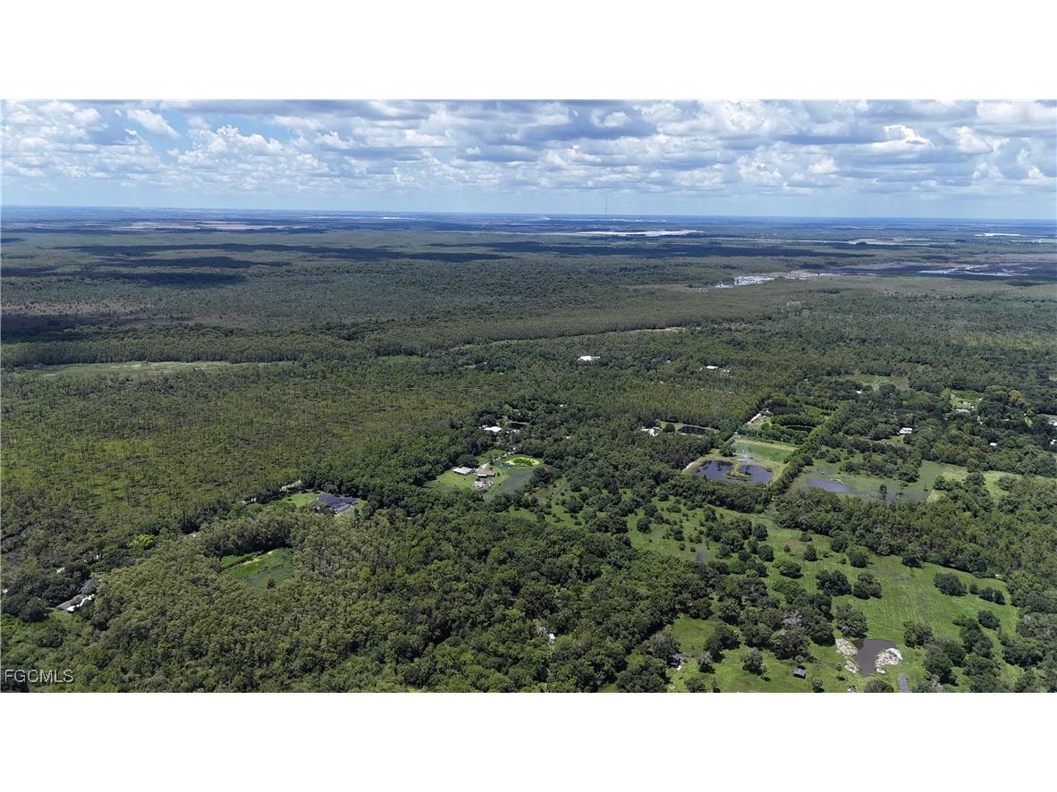 Anhinga Anhinga Road Naples FL 34120 2025007455 image21