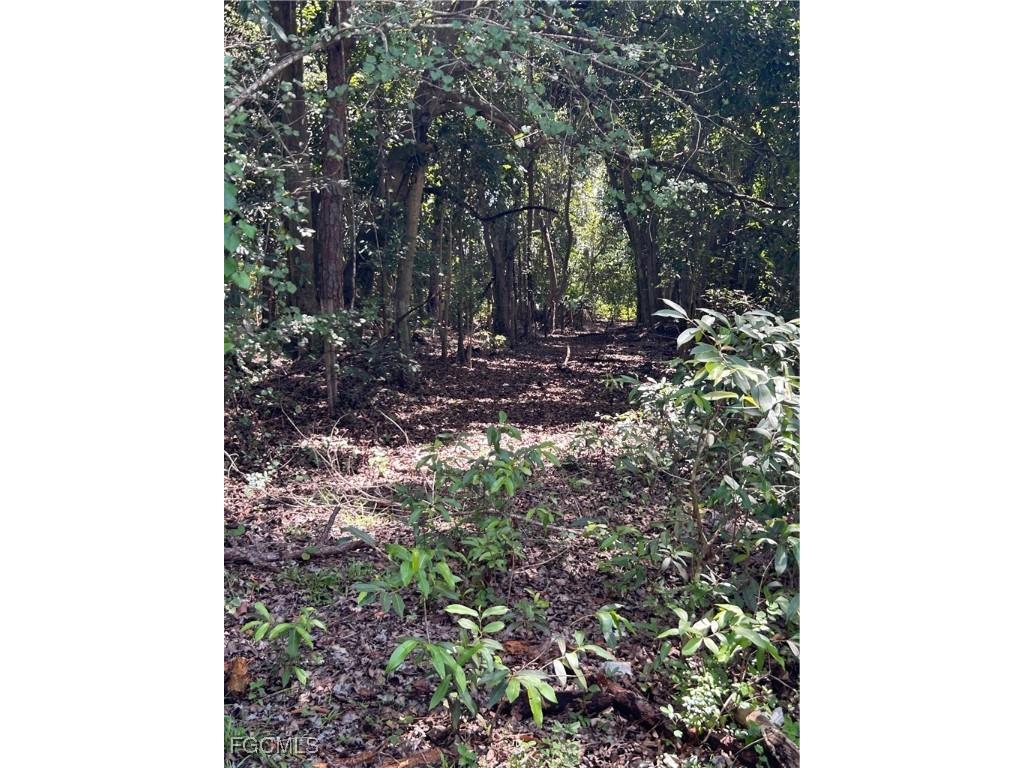 Anhinga Anhinga Road Naples FL 34120 2025007455 image23