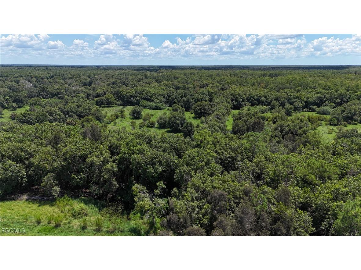 Anhinga Anhinga Road Naples FL 34120 2025007455 image25