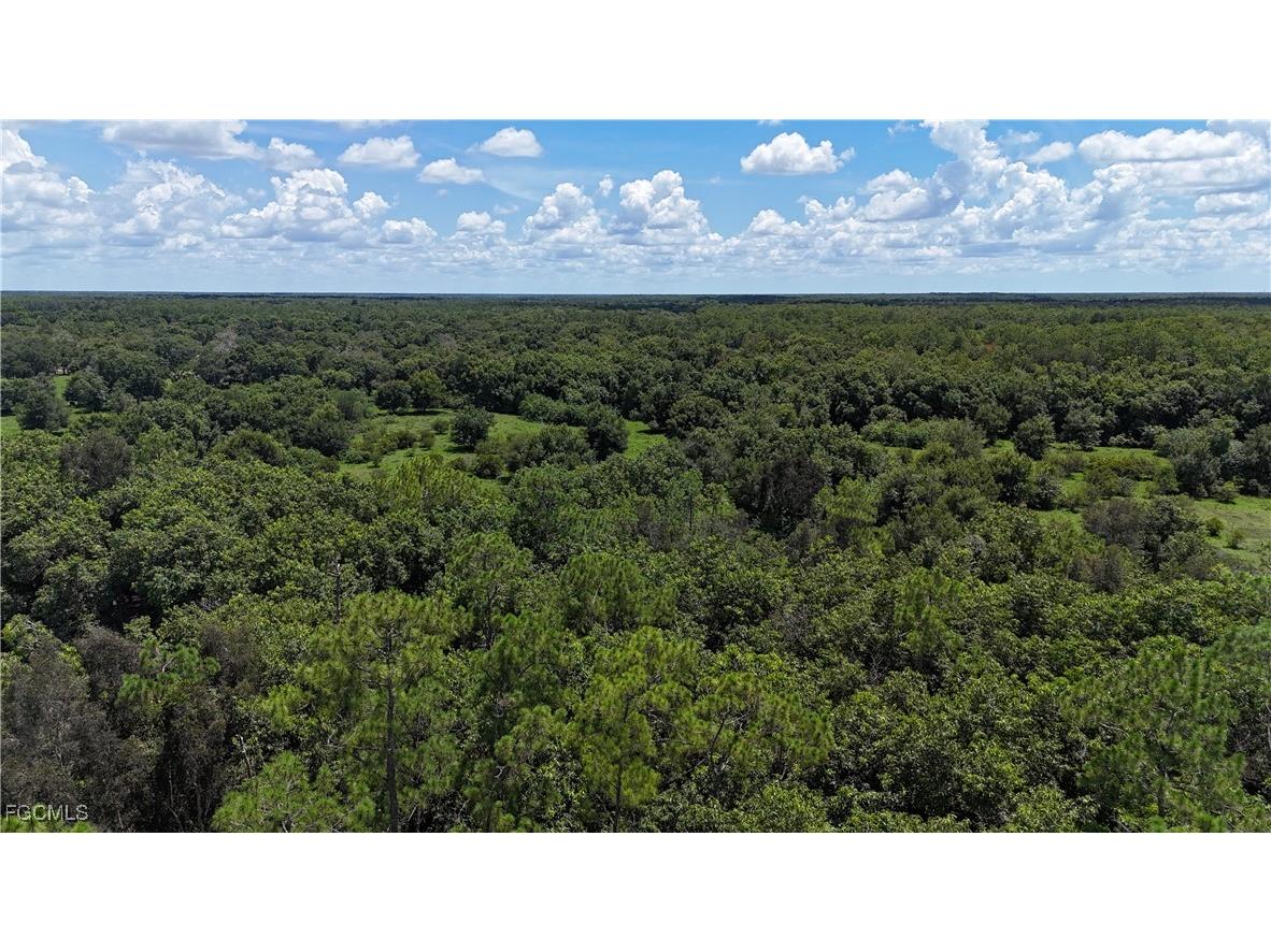 Anhinga Anhinga Road Naples FL 34120 2025007455 image28