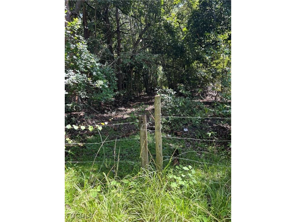 Anhinga Anhinga Road Naples FL 34120 2025007455 image3