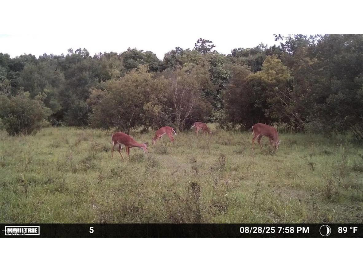 Anhinga Anhinga Road Naples FL 34120 2025007455 image36