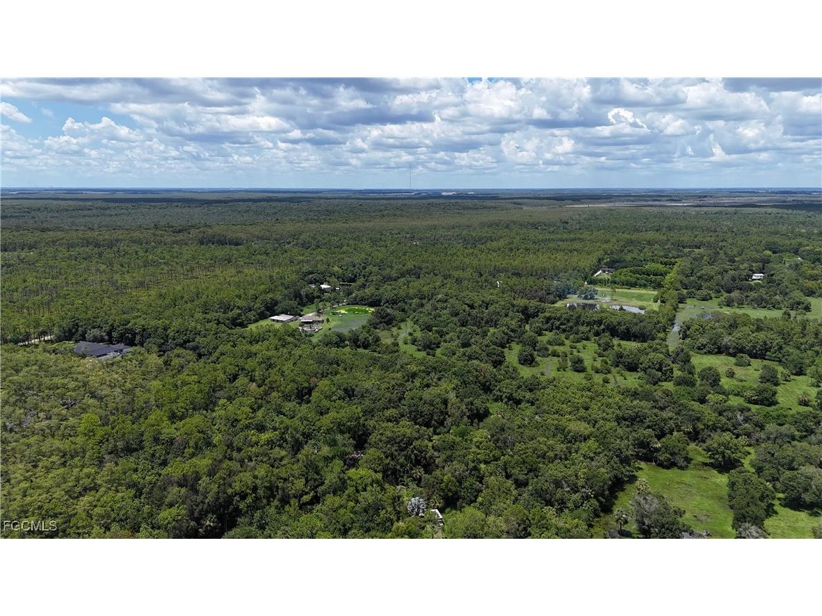 Anhinga Anhinga Road Naples FL 34120 2025007455 image39