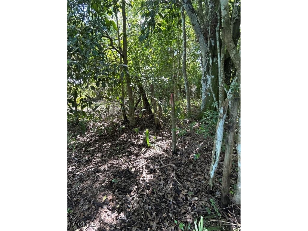 Anhinga Anhinga Road Naples FL 34120 2025007455 image4