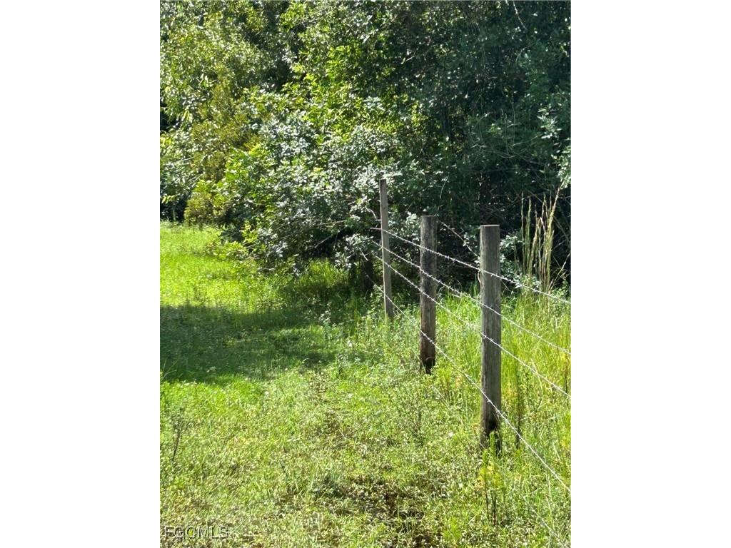 Anhinga Anhinga Road Naples FL 34120 2025007455 image5