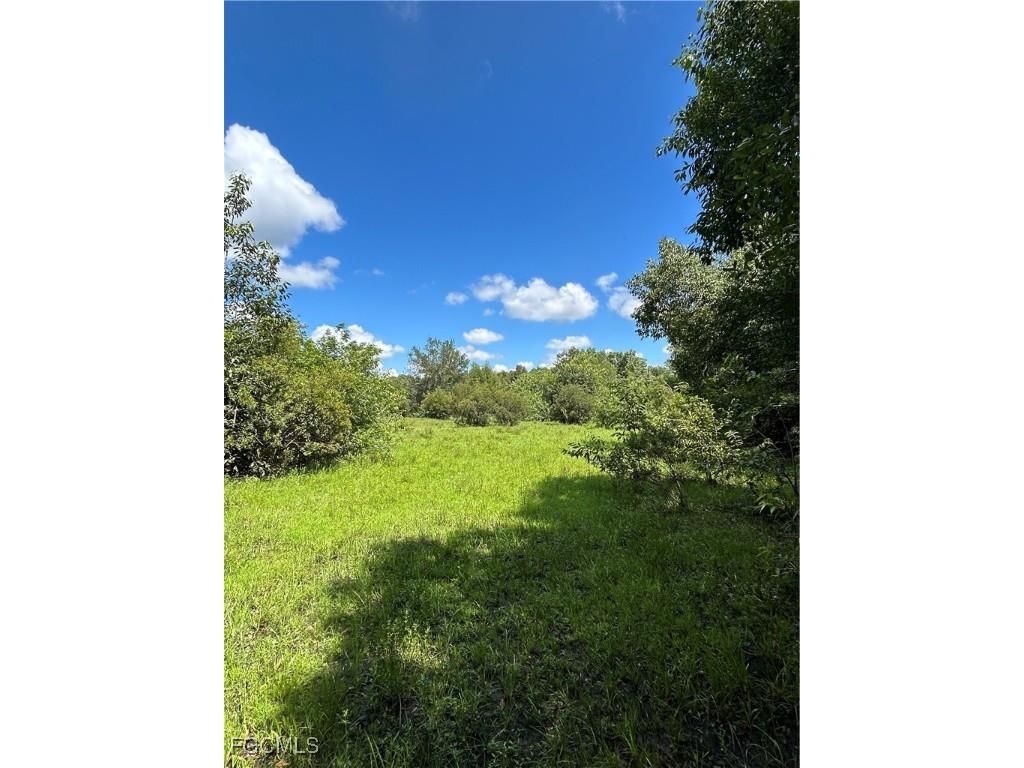 Anhinga Anhinga Road Naples FL 34120 2025007455 image6