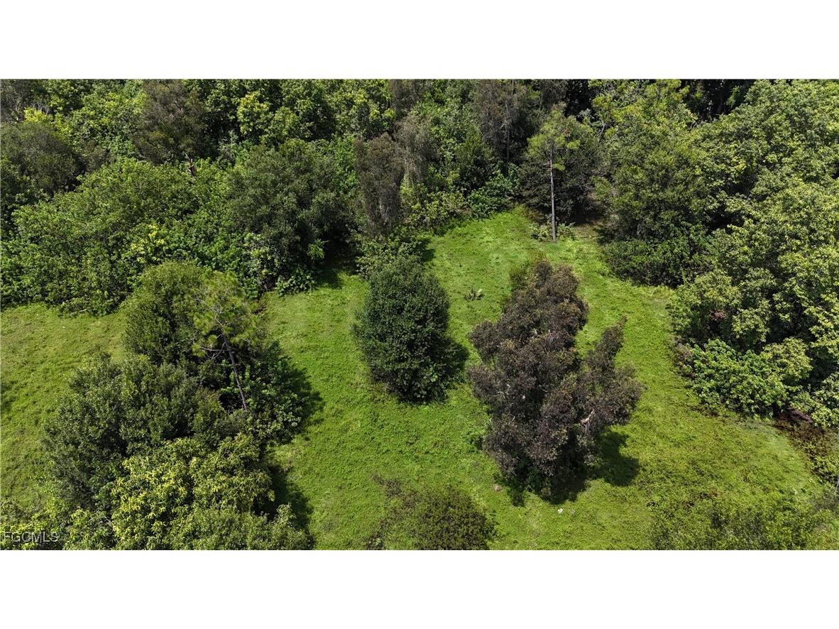 Anhinga Anhinga Road Naples FL 34120 2025007455 image7