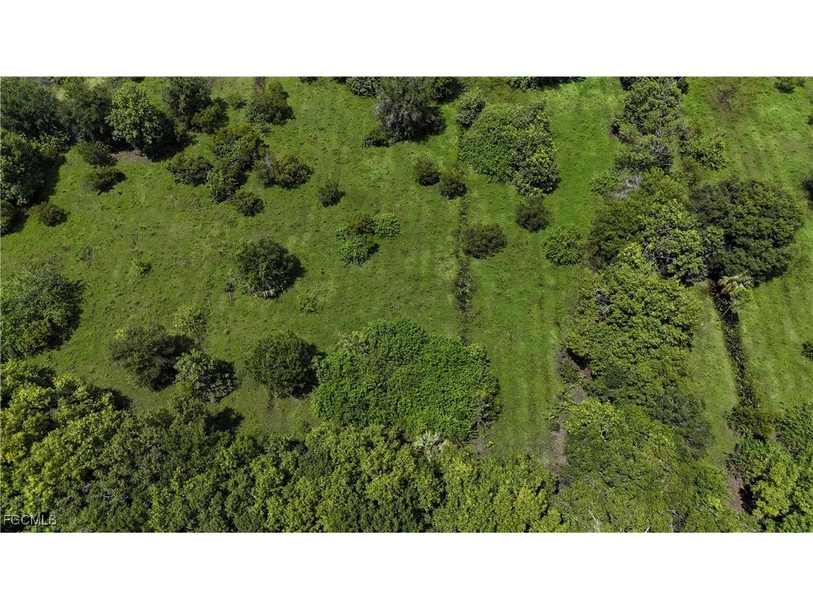 Anhinga Anhinga Road Naples FL 34120 2025007455 image9