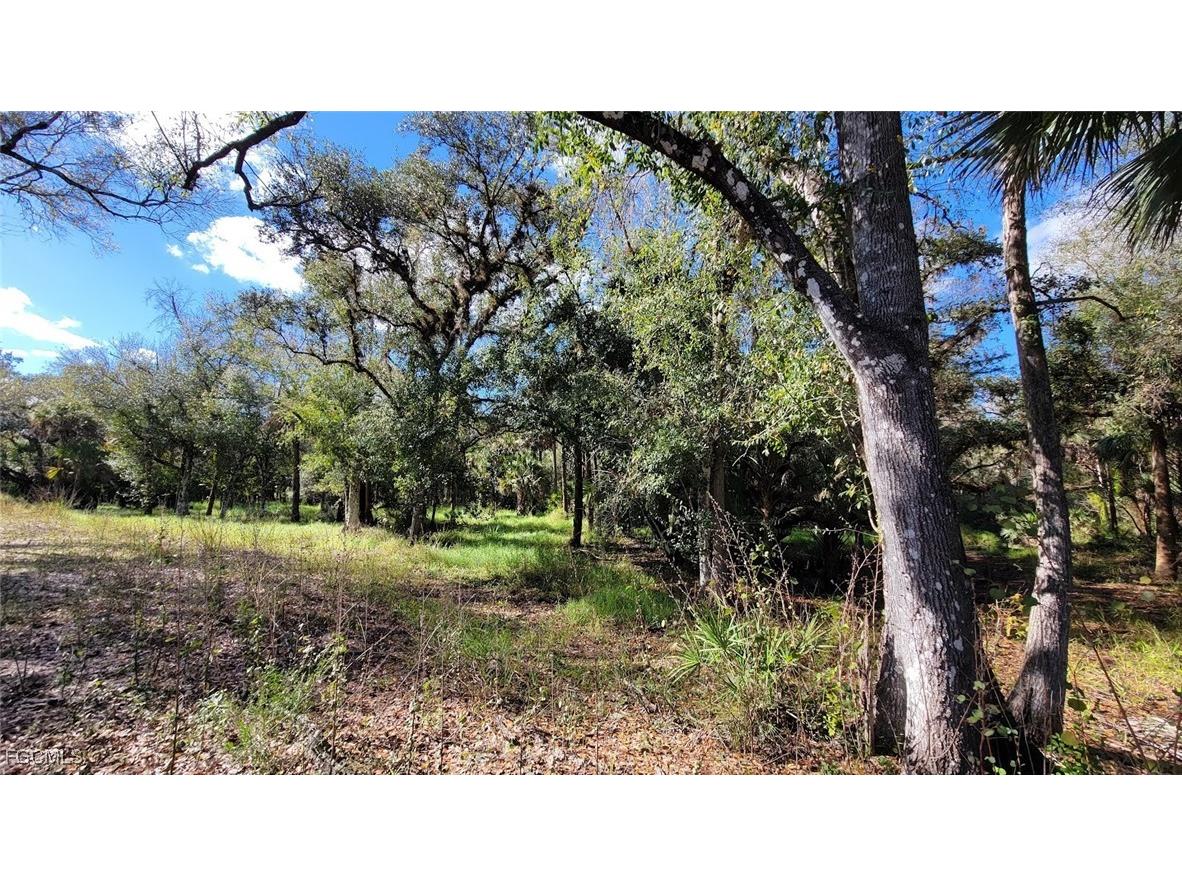 1 Wright Street Labelle FL 33935 2025025001 image1