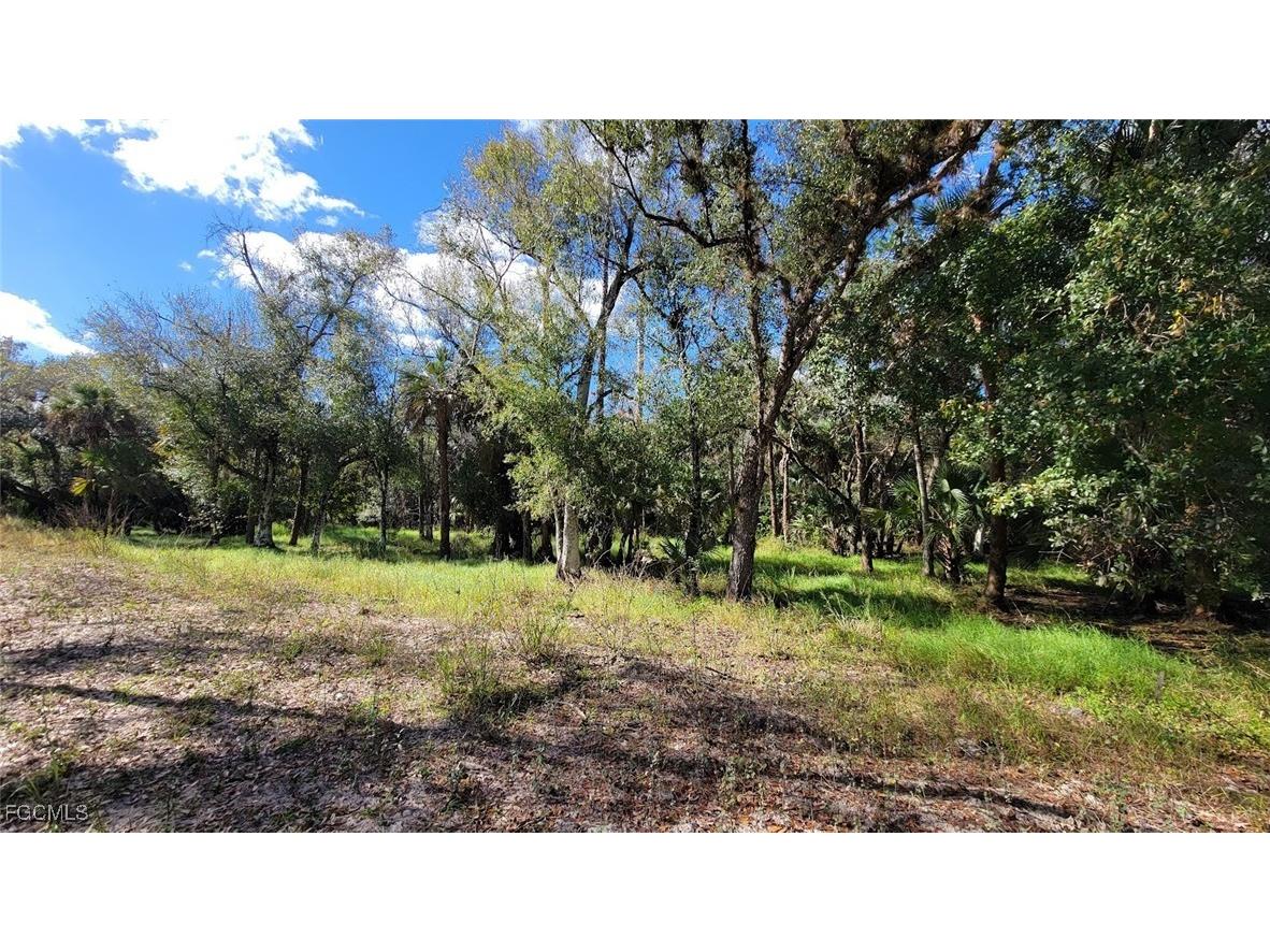 1 Wright Street Labelle FL 33935 2025025001 image2