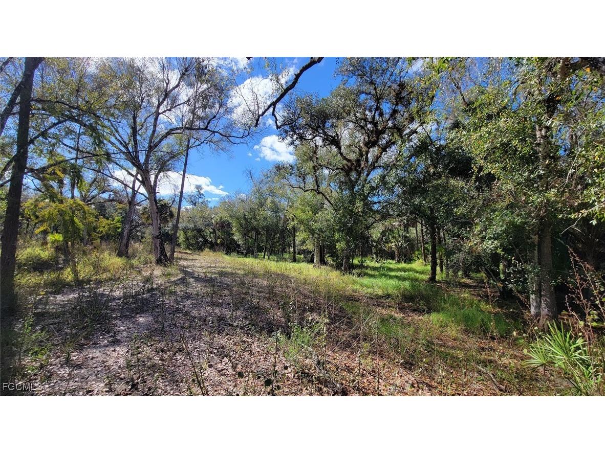 1 Wright Street Labelle FL 33935 2025025001 image3