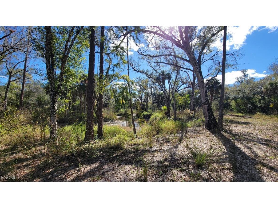 1 Wright Street Labelle FL 33935 2025025001 image4