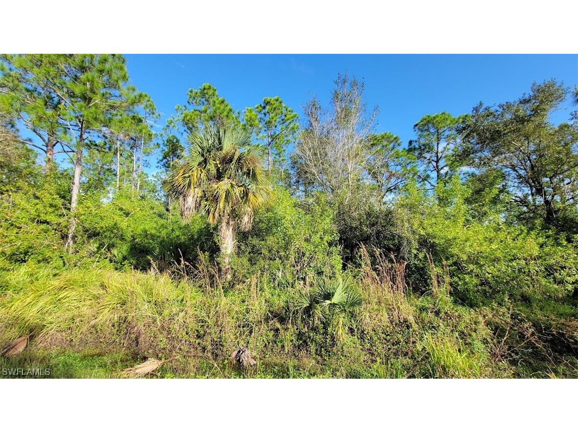 Block #17 W Jacks Branch Road Labelle FL 33935 223084666 image1