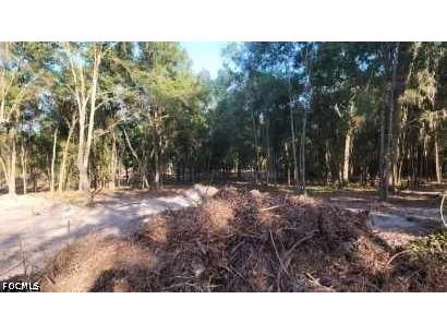 Brightway Deland FL 32720 2026014845 image10