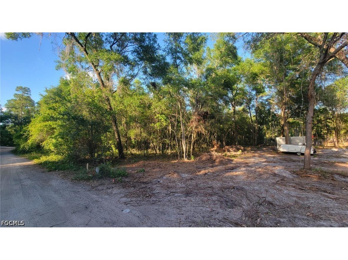 Brightway Deland FL 32720 2026014845 image12
