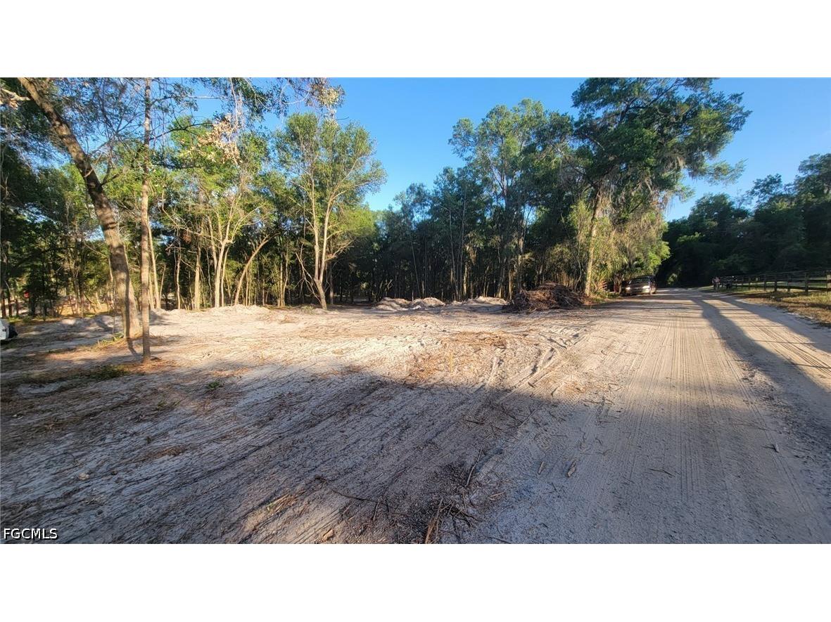 Brightway Deland FL 32720 2026014845 image5