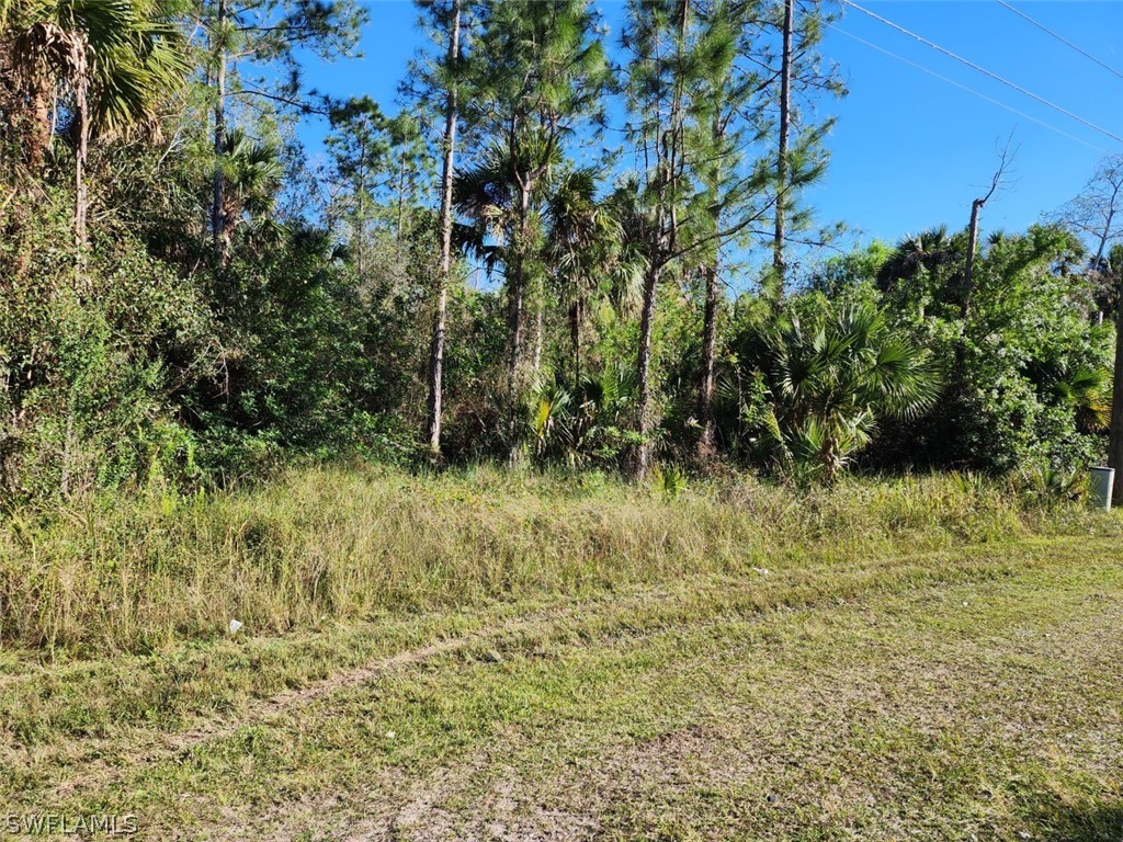 Desoto Blvd So. S Naples FL 34117 223001743 image1