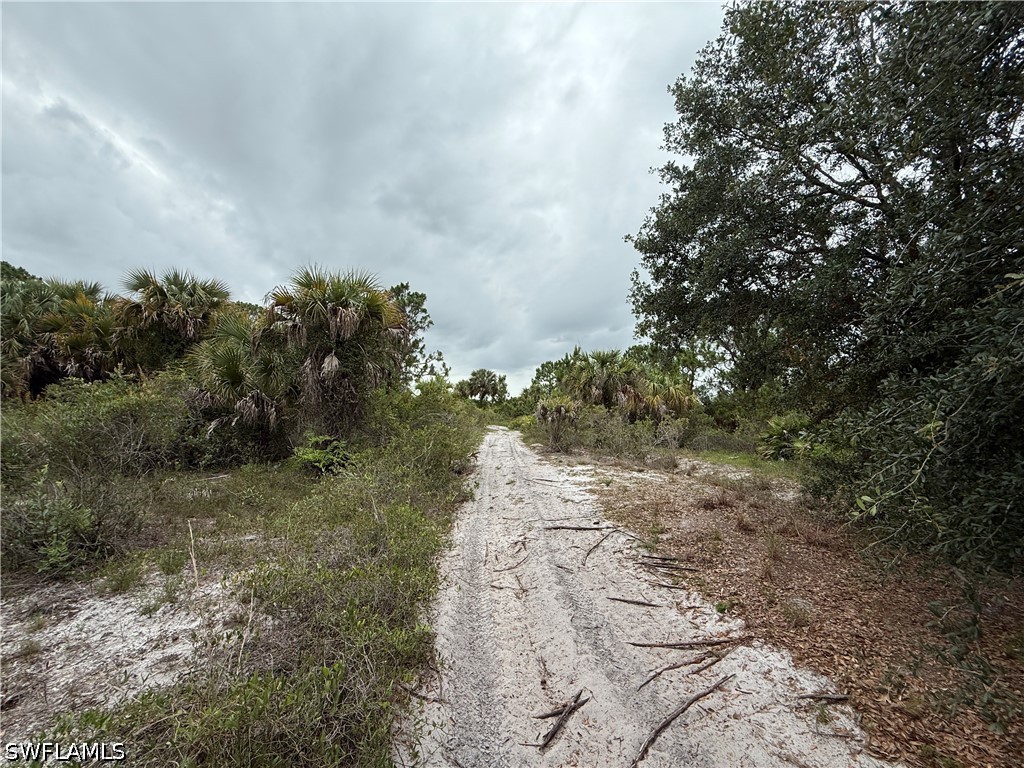 Eisenhower Blvd Lehigh Acres FL 33974 226022118 image4