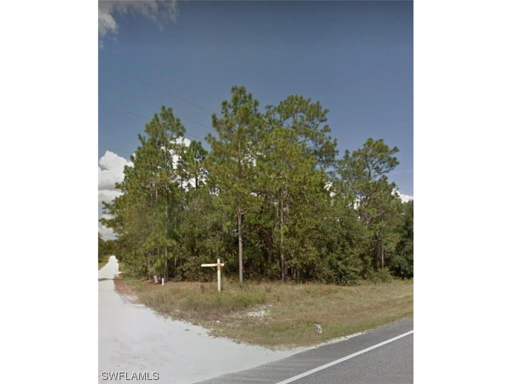 LOT 1 Golden Paradise Morriston FL 32668 223020668 image1