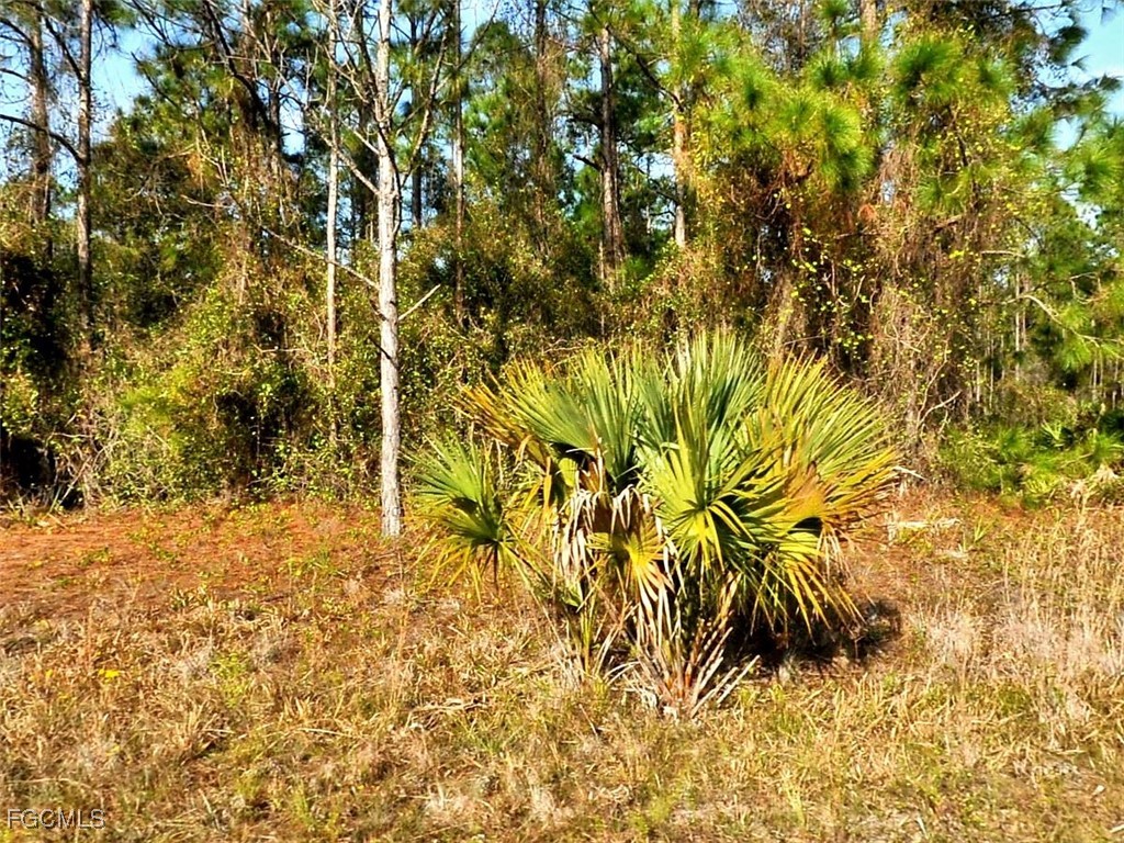 LOT 24 Marlborough Avenue North Port FL 34288 2025014039 image1